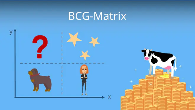 BCG-Matrix