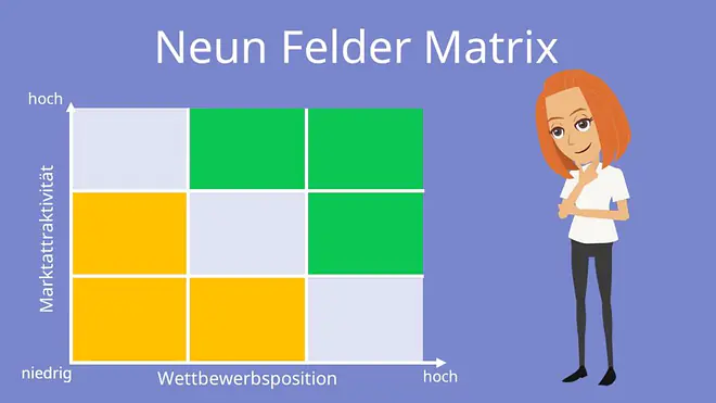 9 Felder Matrix
