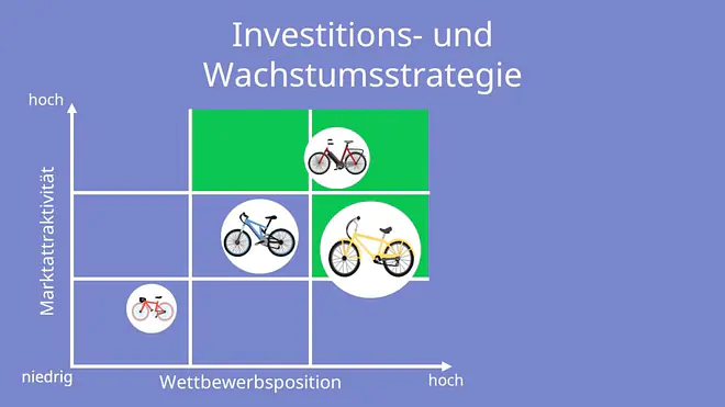 McKinsey-Portfolio: Investitions- und Wachstumsstrategie