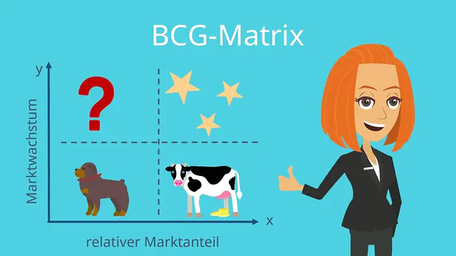 BCG-Matrix