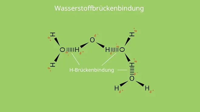 Wasserstoffbrückenbindung