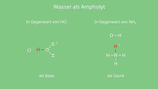 Wasser als Ampholyt