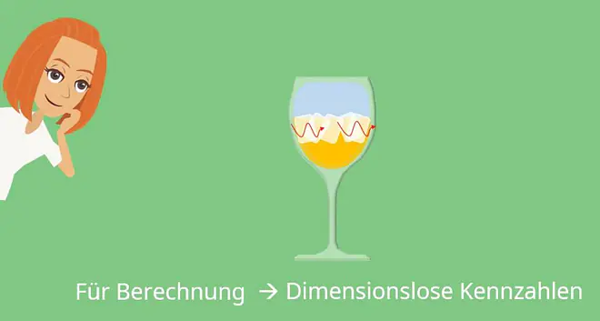 Konvektiver Wärmeübergang, Reynoldszahl, Nusselt-Zahl, Grashof-Zahl, Prandtl-Zahl