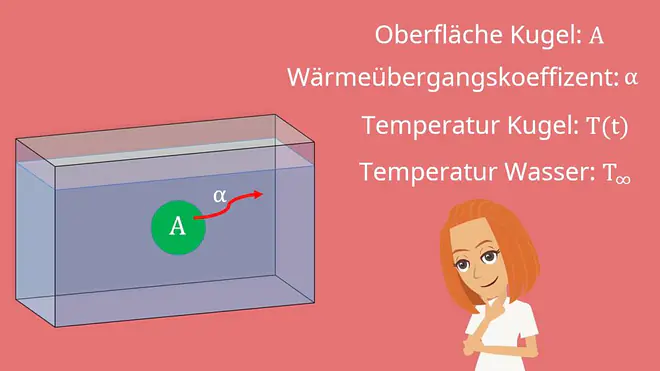 Instationäre Wärmeleitung, Biot-Zahl, Fourier-Zahl