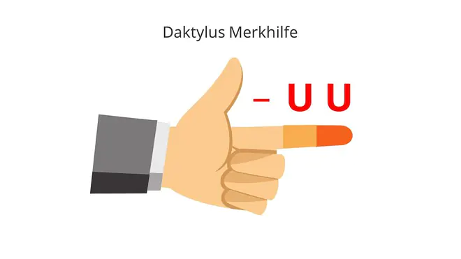Daktylus, Daktylus bestimmen