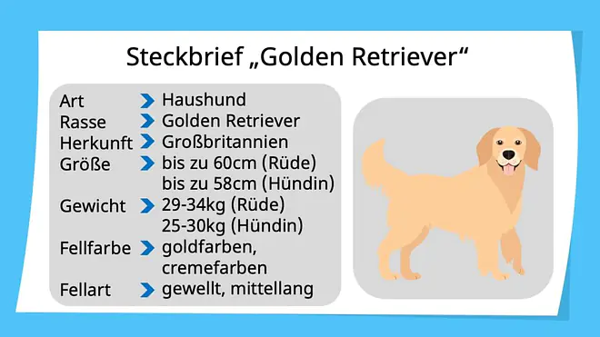 Steckbrief erstellen, Steckbrief Tiere, Steckbriefvorlage, Steckbrief Hund