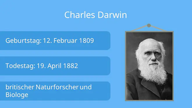 charles darwin steckbrief, wer war charles darwin, charles robert darwin, steckbrief charles darwin, charles darwin biographie, charles darwin referat, charles darwin lebenslauf, darwin charles, charles darwin lebenslauf, darwin, evolutionstheorie darwin, darwin evolutionstheorie, charles darwin evolutionstheorie, darwins evolutionstheorie, charles darwin theorie, darwins theorie, natürliche selektion darwin, charles darwin reise, charles darwin kinder, charles darwin finken, charles darwin buch