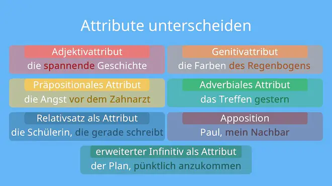 Auflistung aller Typen von Attributen mit Beispielen: Adjektivattribut – z. B. die spannende Geschichte, Genitivattribut – z. B. die Farben des Regenbogens, Präpositionales Attribut – z. B. die Angst vor dem Zahnarzt, Adverbiales Attribut – z. B. das Treffen gestern, Relativsatz als Attribut – z. B. die Schülerin, die gerade schreibt, Erweiterter Infinitiv als Attribut – z. B. der Plan, pünktlich anzukommen, Apposition – z. B. Paul, mein Nachbar