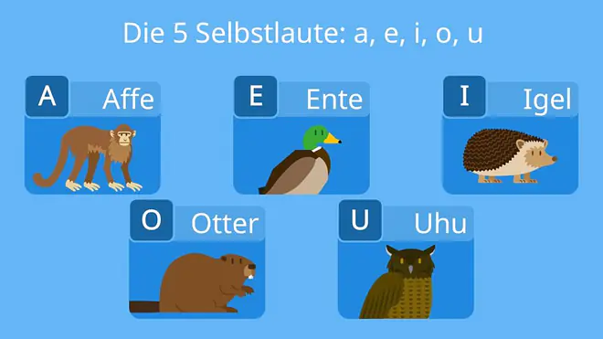 Auf dem Bild sind die fünf Selbstlaute von links nach rechts zu sehen: a, e, i, o, u. Neben dem a ist ein Bild von einem Affen, neben dem e ein Bild einer Ente, neben dem i ein Bild eines Igels, neben dem o ein Bild eines Otters und neben dem u ein Bild eines Uhus