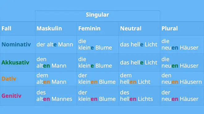 Tabelle mit Beispielsätzen zur Adjektivdeklination mit bestimmten Artikeln. Spalten: Fall, Maskulin, Feminin, Neutral, Plural. Nominativ: der alte Mann, die kleine Blume, das helle Licht, die neuen Häuser. Akkusativ: den alten Mann, die kleine Blume, das helle Licht, die neuen Häuser. Dativ: dem alten Mann, der kleinen Blume, dem hellen Licht, den neuen Häusern. Genitiv: des alten Mannes, der kleinen Blume, des hellen Lichts, der neuen Häuser