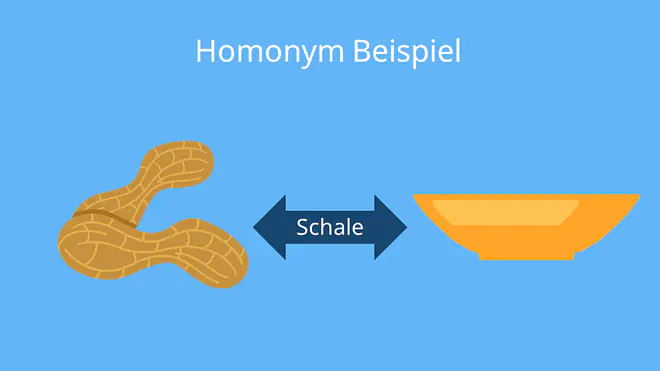 homonym beispiel, homonyme beispiele, homonyme, was sind homonyme, homonyme wörter, homonym, was ist ein Homonym