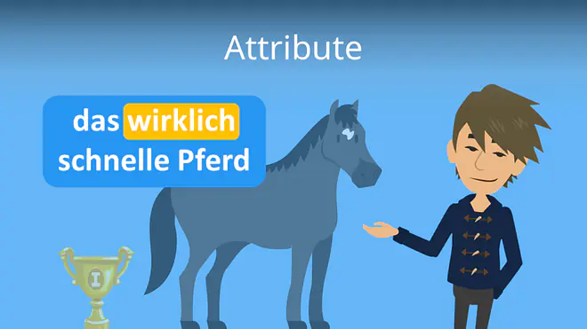 Zum Video: Attribute