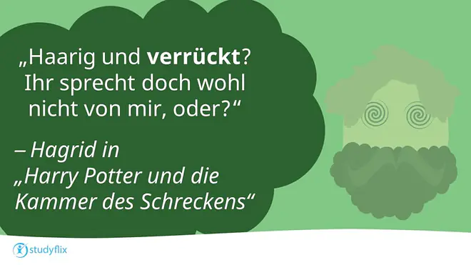 "Haarig und verrückt? Ihr sprecht doch wohl nicht von mir, oder?" - Hagrid in "Harry Potter und die Kammer des Schreckens"