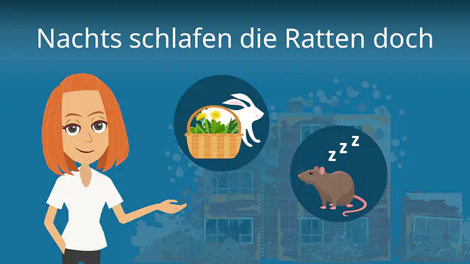 Zum Video: Nachts schlafen die Ratten doch