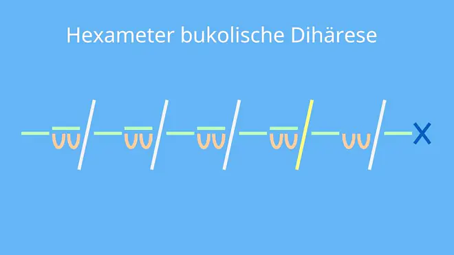 hexameter bukolische dihärese, hexameter bukolische dihaerese, bukolische dihärese, bukolische dihaerese, hexameter zäsur, hexameter zaesur, hexameter, hexameter beispiel, daktylischer hexameter, was ist ein hexameter, hexameter verse, hexameter latein