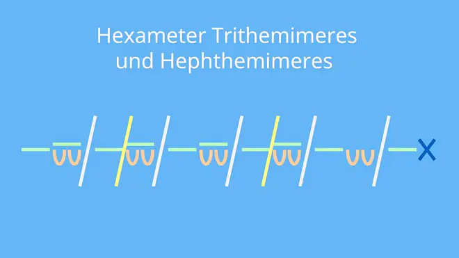 hexameter trithemimeres, hexameter hephthemimeres, hexameter trithermimeres hephthemimeres, hexameter zäsur, hexameter zaesur, hexameter, hexameter beispiel, daktylischer hexameter, was ist ein hexameter, hexameter verse, hexameter latein
