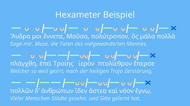 hexameter, hexameter beispiel, daktylischer hexameter, was ist ein hexameter, hexameter verse, hexameter latein