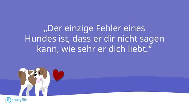 Hundesprüche, Hunde Zitate zum Nachdenken, Sprüche Hundeliebe, Sprüche Hund Mensch Beziehung, Sprüche Hund, Spruch Hundeliebe, Hunde Sprüche, Liebeserklärung an meinen Hund Sprüche, Hunde Sprüche Weisheiten, Sprüche über Hunde