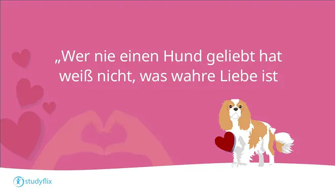 Hundesprüche, Hunde Zitate zum Nachdenken, Sprüche Hundeliebe, Sprüche Hund Mensch Beziehung, Sprüche Hund, Spruch Hundeliebe, Hunde Sprüche, Liebeserklärung an meinen Hund Sprüche, Hunde Sprüche Weisheiten, Sprüche über Hunde