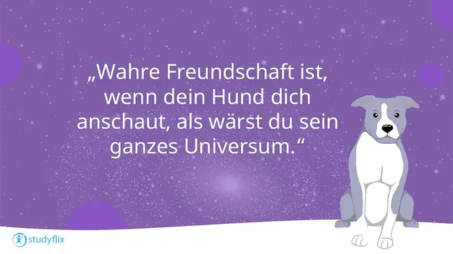 Hundesprüche, Hunde Zitate zum Nachdenken, Sprüche Hundeliebe, Sprüche Hund Mensch Beziehung, Sprüche Hund, Spruch Hundeliebe, Hunde Sprüche, Liebeserklärung an meinen Hund Sprüche, Hunde Sprüche Weisheiten, Sprüche über Hunde