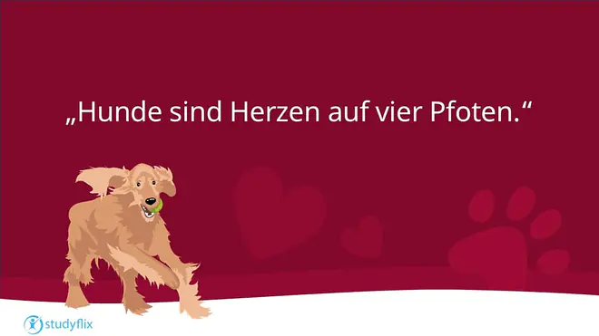 Hundesprüche, Hunde Zitate zum Nachdenken, Sprüche Hundeliebe, Sprüche Hund Mensch Beziehung, Sprüche Hund, Spruch Hundeliebe, Hunde Sprüche, Liebeserklärung an meinen Hund Sprüche, Hunde Sprüche Weisheiten, Sprüche über Hunde