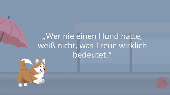 Hundesprüche, Hunde Zitate zum Nachdenken, Sprüche Hundeliebe, Sprüche Hund Mensch Beziehung, Sprüche Hund, Spruch Hundeliebe, Hunde Sprüche, Liebeserklärung an meinen Hund Sprüche, Hunde Sprüche Weisheiten, Sprüche über Hunde