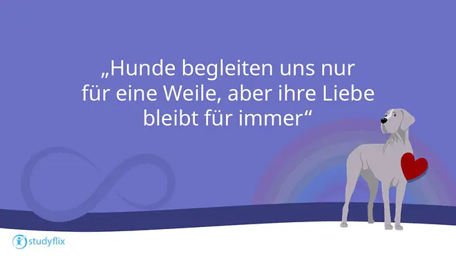 Hundesprüche, Hunde Zitate zum Nachdenken, Sprüche Hundeliebe, Sprüche Hund Mensch Beziehung, Sprüche Hund, Spruch Hundeliebe, Hunde Sprüche, Liebeserklärung an meinen Hund Sprüche, Hunde Sprüche Weisheiten, Sprüche über Hunde