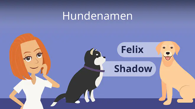 Zum Video: Hundenamen