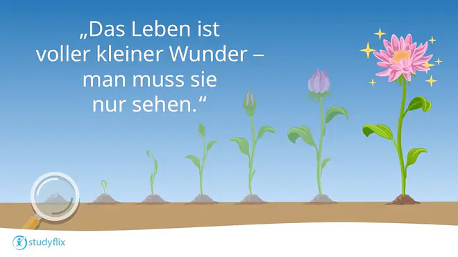 sprüche leben, sprüche fürs leben, lebenssprüche, zitate leben kurz, leben sprüche, spruch leben, lebens sprüche, kurze sprüche leben, schöne sprüche leben, zitat leben kurz, lebenssprüche kurz, lebens zitate kurz, schöne sprüche über das leben, lebensspruch, zitat leben, sinnsprüche leben, lebenszitate, sprüche für das leben, zitate kurz leben, zitat kurz leben, das leben ist zu kurz sprüche, kurze wünsche fürs leben, zitate zum leben, sprüche übers leben, leben sprüche kurz, das leben ist schön sprüche, leben kurze sprüche, gute wünsche für das leben kurz, zitat über leben, zitate fürs leben