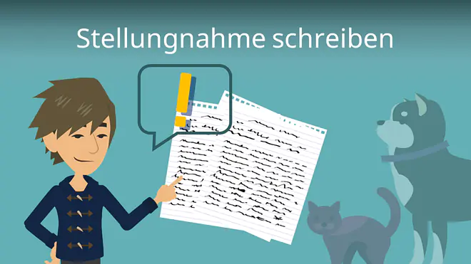 Zum Video: Stellungnahme schreiben
