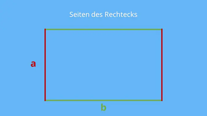 Flächeninhalt Rechteck, Seiten Rechteck, Umfang Rechteck, a, b, parallele Seiten, parallel, Parallele, Eigenschaften Rechteck, Rechteck Eigenschaften, Wie sieht ein Rechteck aus, Was sind Rechtecke