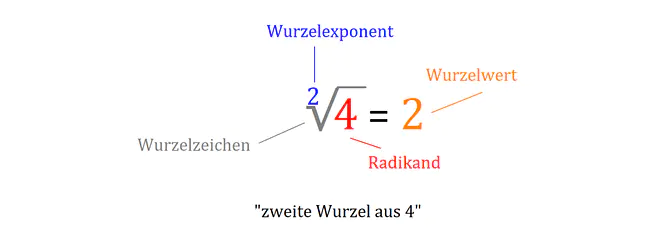 Wurzelziehen, Wurzelexponent, Wurzelwert, Wurzelzeichen, Wurzel, Wurzelbegriffe, Radikand, Wurzel aus x, Wurzel aus 4