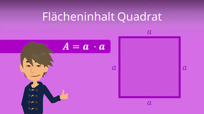 Zum Video: Flächeninhalt Quadrat, Vierecke, Vierecksarten, Haus der Vierecke