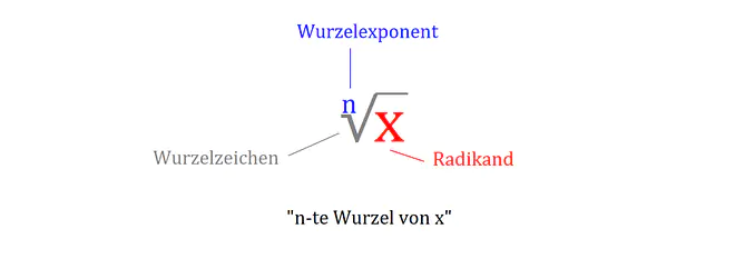 Wurzel, Wurzel Begriffe, Radikand, Wurzelexponent, Wurzelzeichen, Wurzel von x