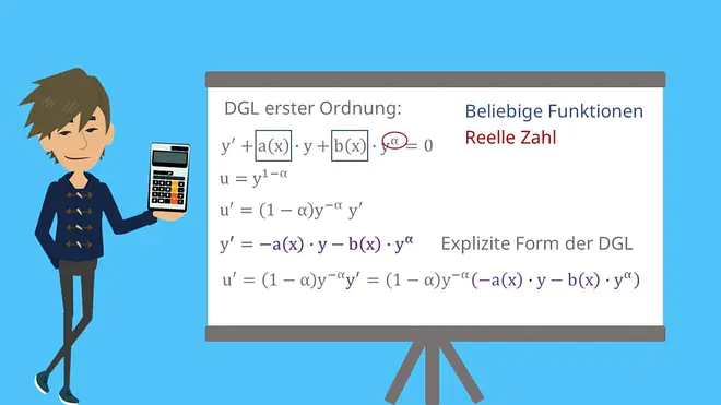 DGL erster Ordnung
