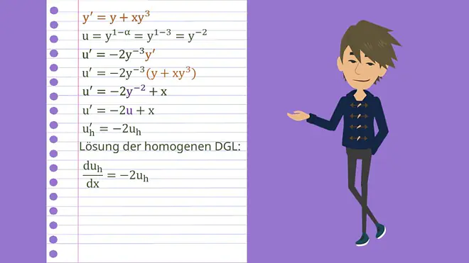 Bernoulli DGL Beispiel