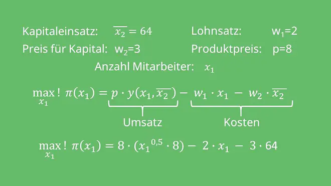 Maximierungsansatz