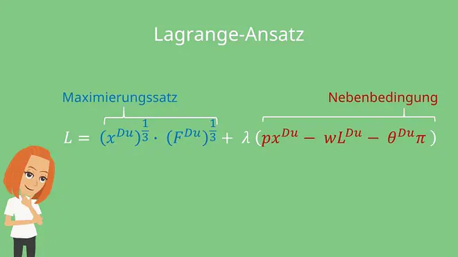 Maximierungssatz, Nebenbedingung, Freizeitnachfrage