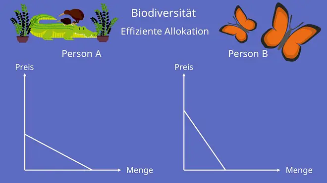 öffentliche Güter, Beispiel, Erklärung, Einordnung