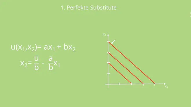 Perfekte Substitute, Nutzenfunktion, Mikroökonomie