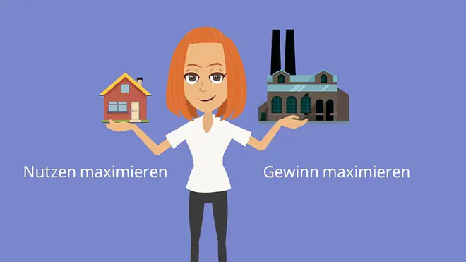 Gewinn maximieren, Haushalt, Unternehmen