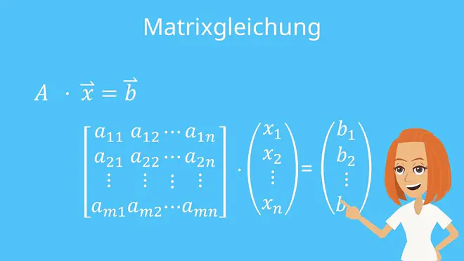 Cramersche Regel, Matrix, Matrixgleichung