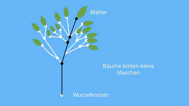 Linear unabhängige Maschen