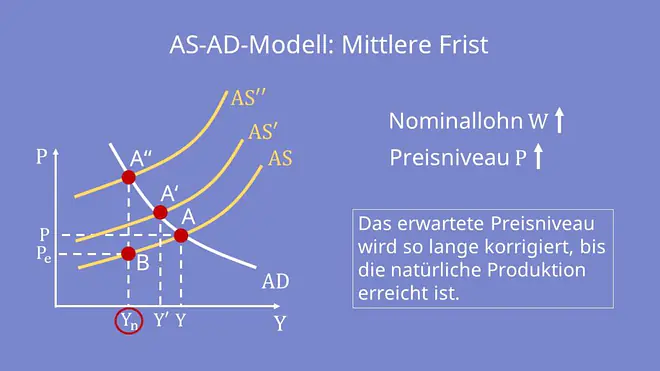 AS-AD-Modell: Mittlere Frist 