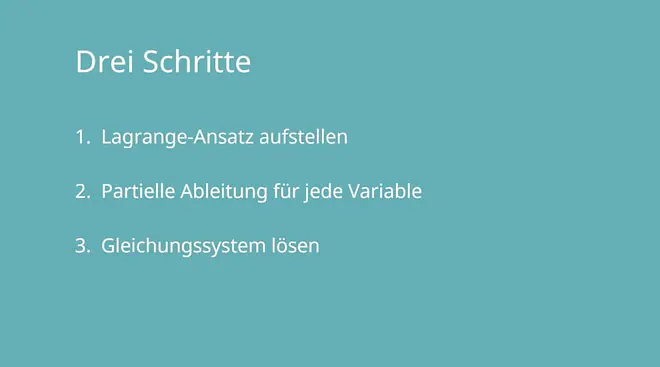 Lagrange-Ansatz, Lagrange, Lagrange-Prinzip