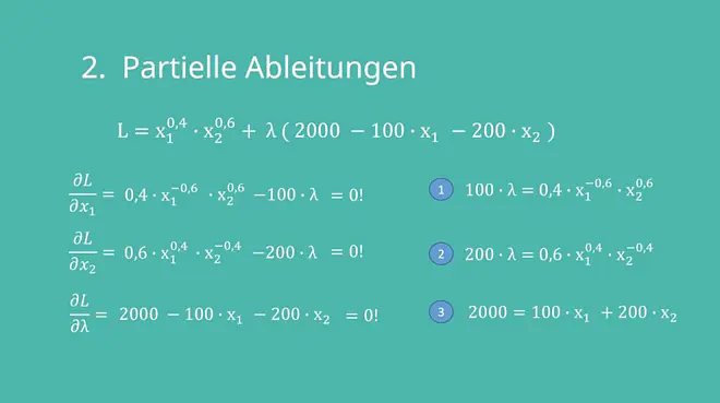 Lagrange-Prinzip, Lagrange-Ansatz, Lagrange Funktion ableiten