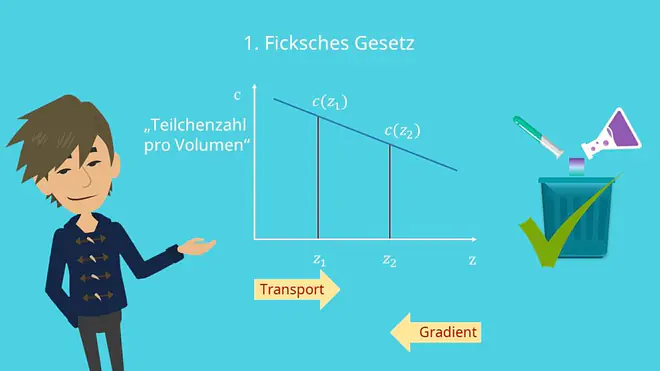 Ficksche Gesetze, Transport, Gradient, Teilchenzahlen, Diffusion, Stofftransport, 1. Ficksches Gesetz