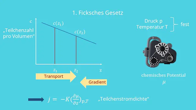 Ficksche Gesetze, Transport, Gradient, Teilchenzahl, Teilchenstromdichte, Diffusionsgesetz, Diffusion, Stofftransport