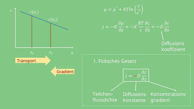 Ficksches Gesetz, Diffusion, Diffusionsgesetz, Stofftransport, Diffusionskoeffizient, Transport, Gradient, Teilchenflussdichte, Konzentrationsgradient