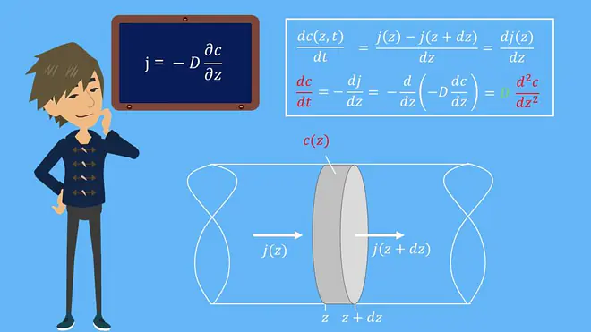 Ficksche Gesetze, 2 Ficksche Gesetze, Diffusion, Diffusionsgesetz, Zeit, Teilchenstromdichte, Modell, Diffusionskoeffizient